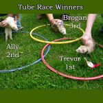 Gagnants de la course de tubes