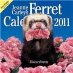  Jeanne Carley's Flower Ferrets, 2011 Coming Soon!