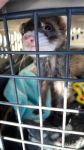 Little My